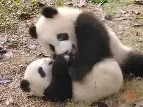 A Tour of China