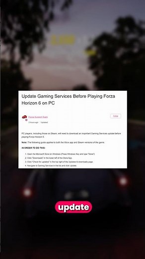 Do this BEFORE you launch Forza Horizon 6 (REQUIRED)