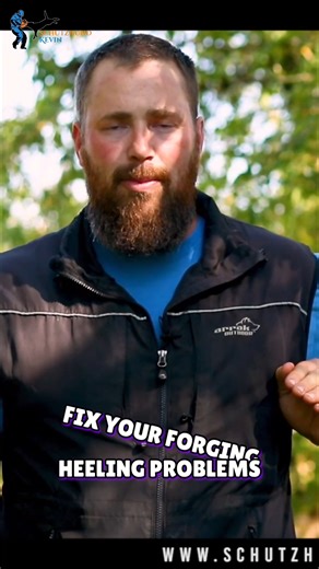 Fix your forging heeling problems in 45 seconds! You can avoid the whole issue if you just train it right from the beginning! #Schutzhund #germanshepherdpuppy #obedience #igptraining #germanshepherdsofinstagram #gsdofinstagram | Schutzhund Kevin
