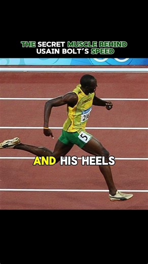 ‪@lowbackability‬ on that one muscle which holds athletic potential #usianbolt #hipflexor #athlete