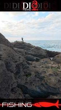 He said he wanted to go home... and here he came.