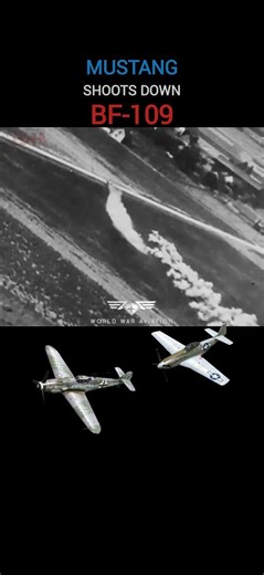 657K views · 10K reactions |  Mustang shoots down a German Bf-109 | World War Aviation | Facebook