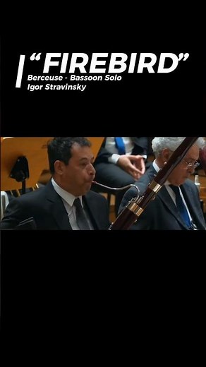 🔥 FIREBIRD, BASSOON SOLO #bassoon