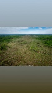 Freeman Kelly Dronography and images from the tornado in the Daniel Boone National Forest. These are between Somerset and London, KY. | Meteorologist Jim Caldwell