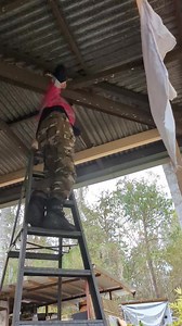 25K views · 1.2K reactions | Park Ridge Coastal Carpet Python | Harrison's Gold Coast and Brisbane Snake Catcher | Facebook