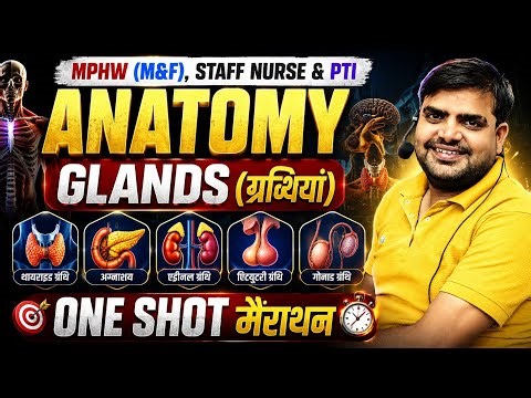 MPHW (m&f), Staff NURSE & PTI | GLANDS One Shot | Anatomy merathon class for MPHW & Staff Nurse
