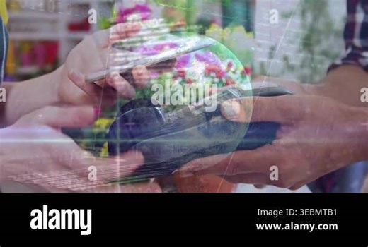 A customer is seen making a payment through their smartphone in a flower shop. Statistics, binary coding and financial data processing over a globe Stock Video Footage - Alamy