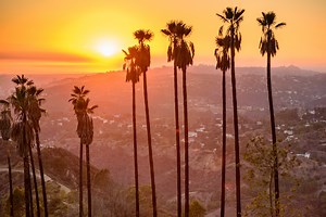 Texas Process Servers | Trusted By The US DOJ