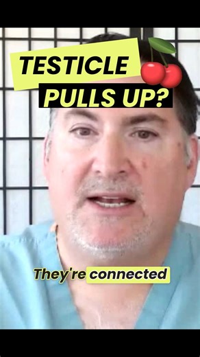 Michael Hodge | Transform Pelvic Health on Instagram: "So I have an awkward question for you… Ever feel like one of your testicles pulls up too high or into the “wrong” spot? 😬 🚫 Don’t panic 🚫 Dr. Robins is here to ease your mind!! It’s usually not torsion or anything serious. Most of the time, it’s your cremaster muscle reacting to things like temperature, stress, or arousal by pulling the testicle closer to the body. For some men, this reflex is just a little overactive, which can make the 