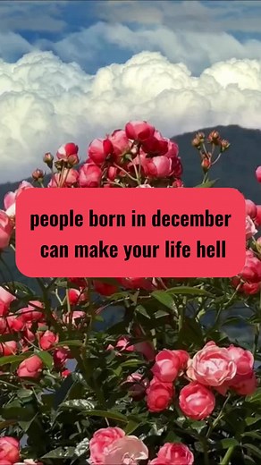Zodiac Signs and Astrology Insights
