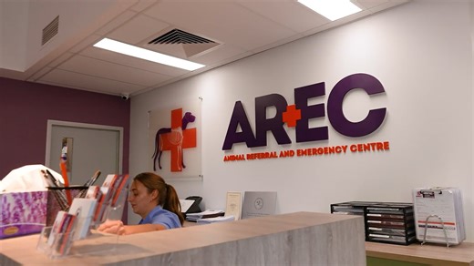 AREC 2026