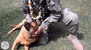 Reunited and it feels so good.