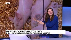 Holy cow! Understanding France's love of the Agriculture Fair