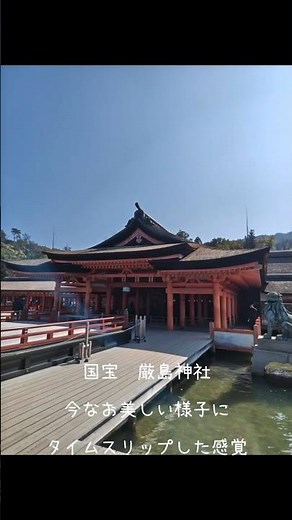 宮島 厳島神社✦世界遺産の日帰り旅 #宮島 #厳島神社 #まめだぬき #日本観光 #世界遺産 #50代からの暮らし