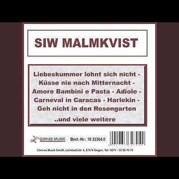 Schwarzer Kater Stanislaus