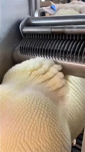 Sheep Shearing… But Make It Fully Automated🐑