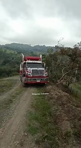 316K views · 10K reactions | #_INTERNATIONAL_WORKSTAR_COLOMBIA  | Volquetas colombia | Facebook