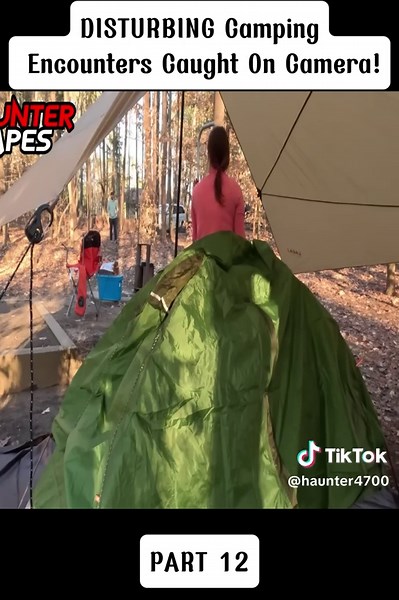 Bizarre Camping Encounters Captured on Camera