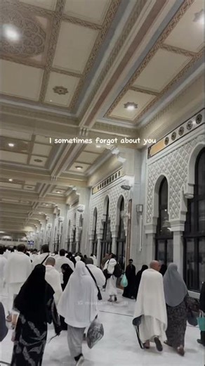 Hajj 2026 live today | safwa marwa | Makkah today | live 🔴 #safamarwah #harmainlive #pilgrim #🕋