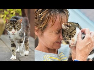 Elderly Cat Finds Its Way Home After 13 Years, And The Reunion Leaves Everybody In Tears