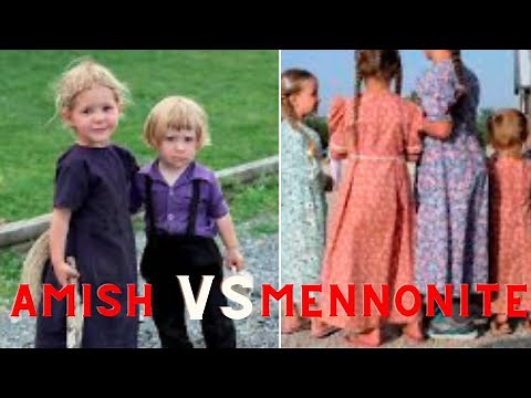 Amish vs Mennonite // What's the Difference?