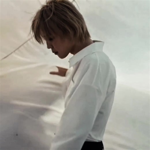 BTS MV Visuals: An Amazing OT7 Edit