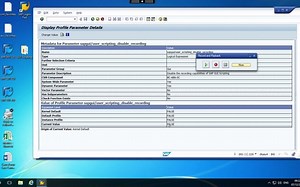 13 SAP GUI Scripting Tricks, Tips and Basics