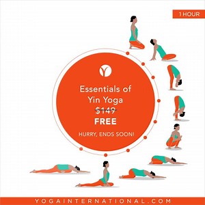1.8K reactions · 406 shares | Start your 30-day trial today and take time out to rest, recover, and replenish with this essentials yin yoga course for free 律‍♀️ | Yoga International | Facebook