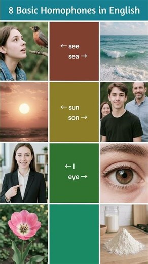 8 Basic Homophones | English Vocabulary for Beginners #englishforbeginners #englishvocabulary