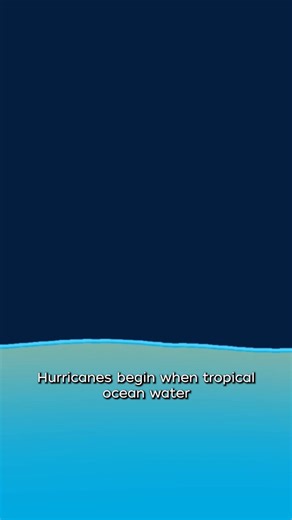14K reactions · 3K shares | ⛈️With all the hurricane hype lately, you may be wondering... where do hurricanes come from, and how do they get so intense? Check out the full explainer on our YouTube Channel: go.whoi.edu/hurricane-explainer Animation by Natalie Renier © WHOI | Woods Hole Oceanographic Institution (WHOI) | Facebook