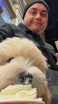 Road Rage Horror on Interstate 495: Deadly Stabbing Ends in Police Shooting in Fairfax