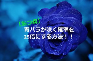 【あつ森】青バラが咲く確率を25倍にする方法！！｜誰でもわかるゲーム攻略サイト