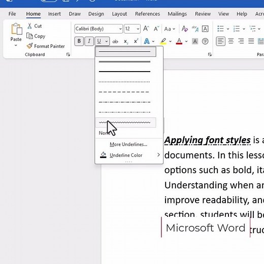 Microsoft Word Applying Font Styles