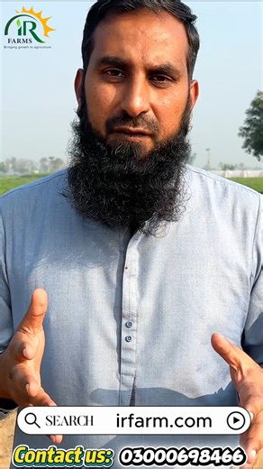 ☀️ Is saal garmi ki faslon mein kya lagaya jaye? Is reel mein main share kar raha hoon: ✔ Garmi ke mausam ki behtareen faslain ✔ Open field mein kaun si fasal zyada faida deti hai ✔ Kam pani mein chalnay wali crops ✔ Ghalat selection se kaise bacha jaye Agar aap garmi mein farming ka plan bana rahe hain, to yeh reel aap ke liye bohat faidemand hai 👨‍🌾🌱 👉 Reel dekhein aur sahi faisla karein. #GarmiKiFasal #SummerFarming #OpenFarming #KisaanGuide #FarmingPakistan #CropSelection | IR FARMS