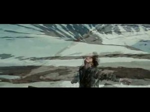 Into The Wild - Best Unsaid