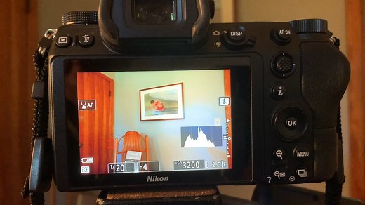 Histogram On the Nikon Z6