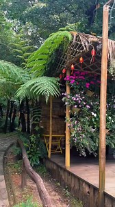 75K views · 229 reactions | Bảo Lộc đẹp quá 殺 | Trang Japan | Facebook