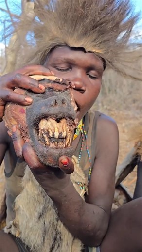 What do tribals do with animal bones #shortsvideo