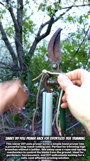 Smart DIY Pole Pruner Hack for Effortless Tree Trimming #satisfying #diy