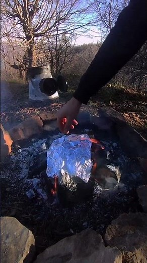 Quick Campfire Feast: Fast & Delicious Wilderness Cooking • Rapid Camping Meal Tutorial