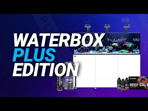 Everything You Need in a Reef Tank? Waterbox Plus Edition