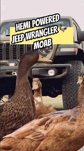 Jeep Wrangler MOAB 392 Hemi #offroad #jeeplife #hemi #jeep # #automobile