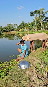 The cow comes running. | MD Shafiul Azom