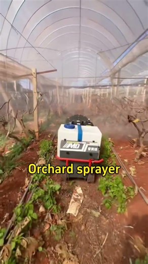 Tracked orchard spraying machine, fully automatic spraying robot #orchard #automobile