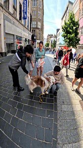 97K views · 4.9K reactions | Interactions with my dog!! #dogsoffacebook #doglover #petlover #famous #crowd #puppylove #happy #reels #meta #violasnow | Viola Snow | Facebook