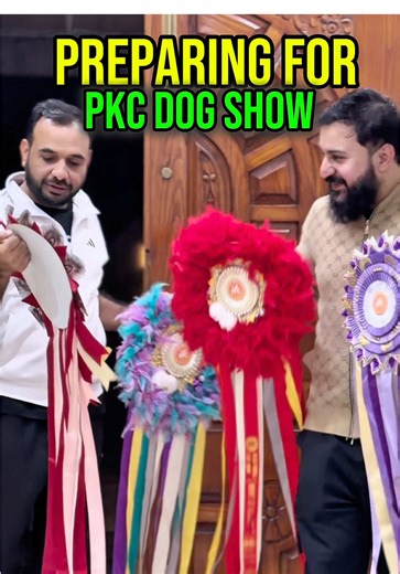 Preparing for PKC Dog show 🥰😘#pakistan #lahore #tranding #dog