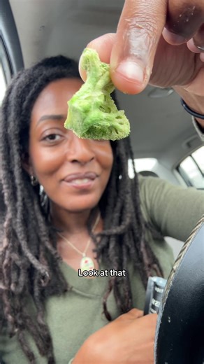 Veggie Chip Taste Test: High Fiber Snack Review