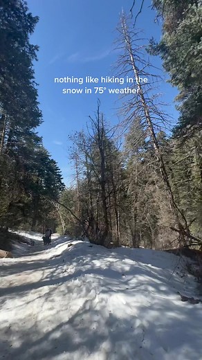 hellojessmarie on TikTok