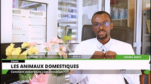 37 reactions | COMMENT EVITER TOUTE CONTAMINATION AVEC LES ANIMAUX DOMESTIQUES? | LUX TV | Facebook