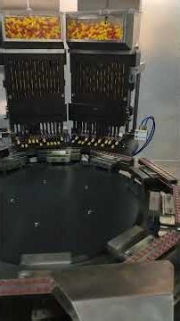 NJP-3800D Fully auto capsule filling machine